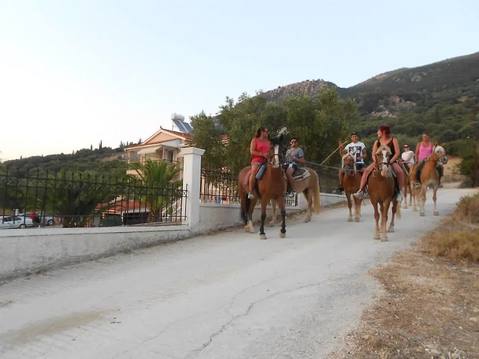 Leonidas Studios Sami  Apartmán Sami (Kefalonia)